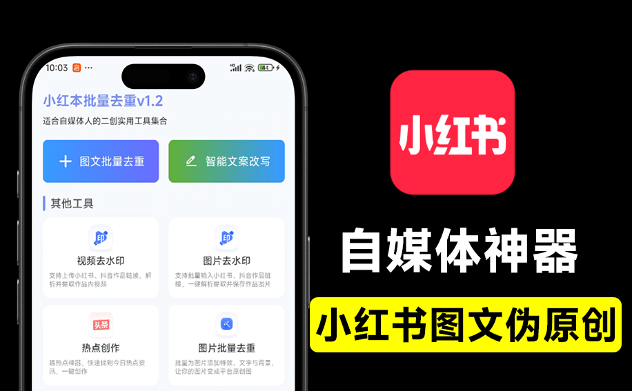 小红本图片/文案批量改写，Ai伪原创工具！ 无登录、无广告、打开即用，自媒体工具