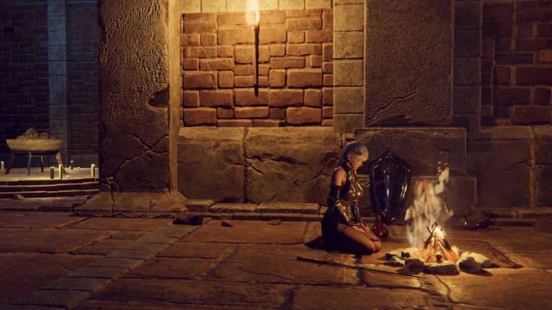 地下城的女骑士V25.01.23 | 3D ACT | 动态 | PC/安卓