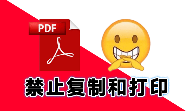 轻松保护PDF文档隐私！支持PDF禁止打印、复制、转换、编辑操作，完全免费使用 PDF Anti-Copy Pro