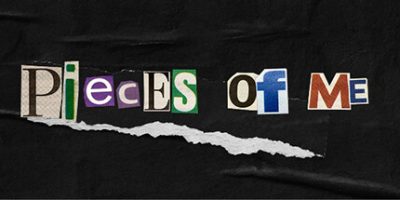 我的碎片|支持手柄|Pieces of me