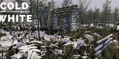 冷白|官方中文|支持手柄|The Cold White